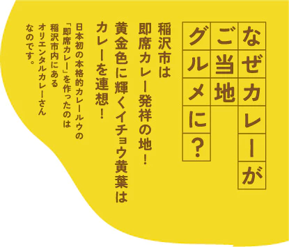 なぜカレーがご当地グルメに？