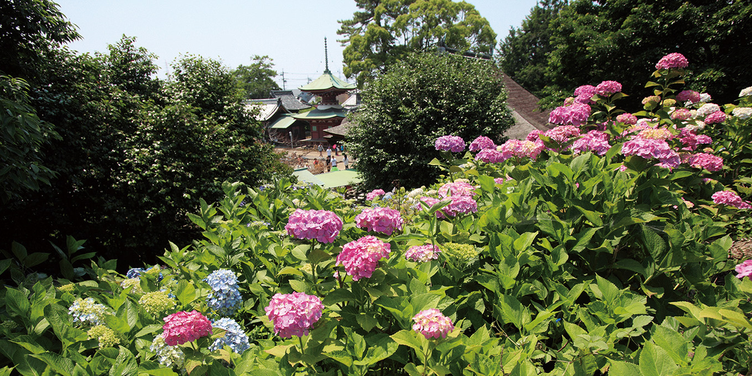 大塚性海寺歴史公園・性海寺